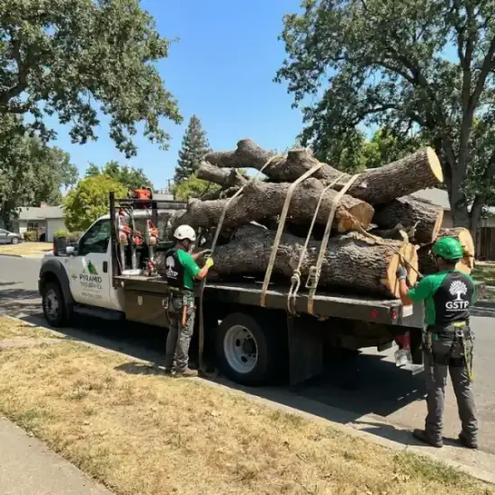 Tree service truck loaded with branches after a Kansas City job